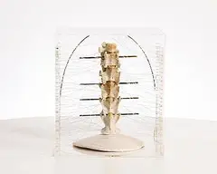 Barrie Cooke, Bone Box, mixed media sculpture in perspex box