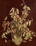 Lilian Jelly, Eucalyptus, oil on linen