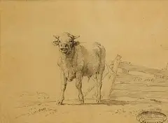 Eugène Verboeckhoven, Cow Lowing, pencil on paper