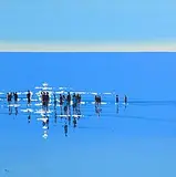 John Morris, Reflection, oil on board