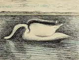 Basil Rakoczi, Swan, mixed media on paper