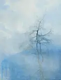 Tom Carr, Tollymore Larch, watercolour on paper