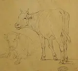 Eugène Verboeckhoven, Cattle Study, pencil on paper
