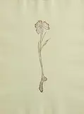 Dorothy Cross, Iris, 1995, silver leaf and paint on paper