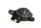 Timothy Joyce, Mr. Turtle, bronze - number 1 from an edition of 6