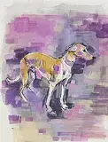Basil Blackshaw, Study of a Greyhound, mixed media on card