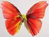 Butterfly Spin by Damien Hirst British, acrylic on card, sold Mar 2025