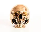 Valentin Bostan, Skull, 2025, bronze - number 1 from an edition of 4