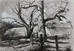 Paul Reid, Trees by the Path at Penicuik House, mixed media on paper