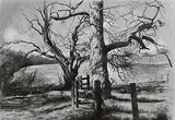 Paul Reid, Trees by the Path at Penicuik House, mixed media on paper