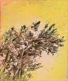Elizabeth Magill, Station Study