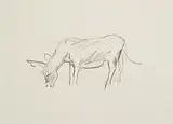 Isobel Nolan, The Last Donkey, 2006, pencil on paper
