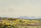 Frank Egginton, Derryreel, County Donegal