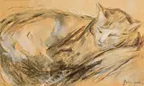 Gwen John Welsh, Cat, gouache on paper
