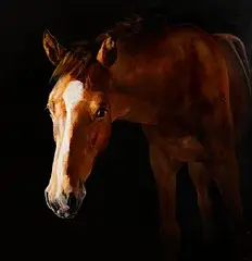 Tony O'Connor, Into the Light, 2017, oil on canvas