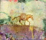 Elizabeth Magill, Ballymule