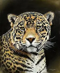 Pip McGarry, Jaguar, 1998, oil on canvas