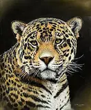 Pip McGarry, Jaguar, 1998, oil on canvas