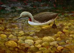 Julian Friers, Diver, oil on board