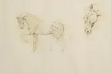 Countess Markievicz, Two Horses, charcoal on paper