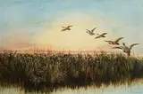 Andrew Nicholl, Flight of Mallards, watercolour on paper