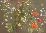 Kenneth Webb, Wild Flower Meadow, pastel on paper