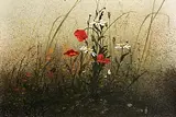 Phyllis del Vecchio, California Poppie II, watercolour on paper