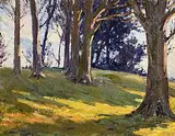 Hans Iten, Trees in Sunlight, oil on board