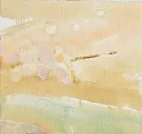 Barrie Cooke, Didymosphenia Geminata, 2007, oil on canvas
