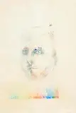 Study Towards an Image of William Shakespeare by Louis le Brocquy, 1983, watercolour and crayon on paper, sold Oct 2025
