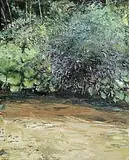 Donald Teskey, Riverbank with Buddleia IV