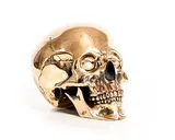 Valentin Bostan, Skull, bronze - number 2 from an edition of 4
