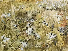 Patrick Swift, Bog Cotton, watercolour on paper