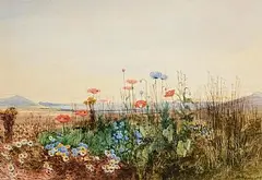 Andrew Nicholl, Poppies, Cornflowers and Daisies, with Coastal Landscape, c.1840, watercolour on paper
