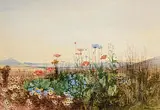 Andrew Nicholl, Poppies, Cornflowers and Daisies, with Coastal Landscape, c.1840, watercolour on paper