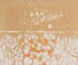 Patrick Scott, Golden Nebula