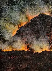 Tim Goulding, Land Burn, 2002, oil on canvas
