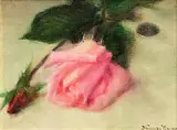 Thomas Ryan, The Anniversary Rose, oil on board