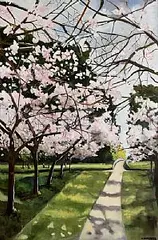 Caroline Canning, Cherry Blossom Walk at Birr Castle, 2020, oil on canvas
