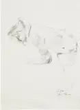 Patrick Graham, Nude Study, pencil and charcoal on paper