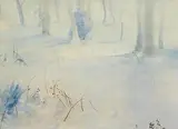 Tom Carr, Snow in Belvoir Park, watercolour on paper