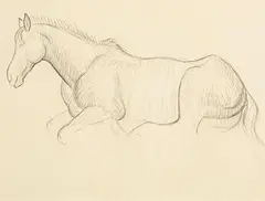 Constance Gore-Booth, Resting Horse, pencil on paper