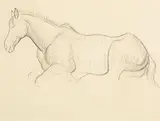 Constance Gore-Booth, Resting Horse, pencil on paper