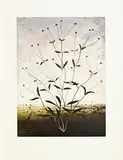 Michael Canning, Insomnia