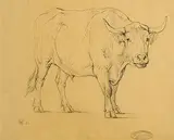 Eugène Verboeckhoven, The Bull