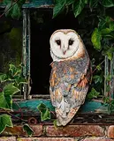Hunter's Roost by Steve Burgess Canadian, oil on board, sold May 2024