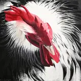 Diana Kingston, Cockerel, 2013, oil and charcoal on canvas