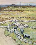 Diarmuid Larkin, September Morning, Roundstone, oil on board
