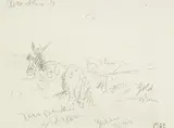 Mildred Anne Butler, Donkey Resting, pencil on paper