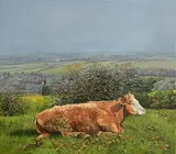 Martin Gale, High Field